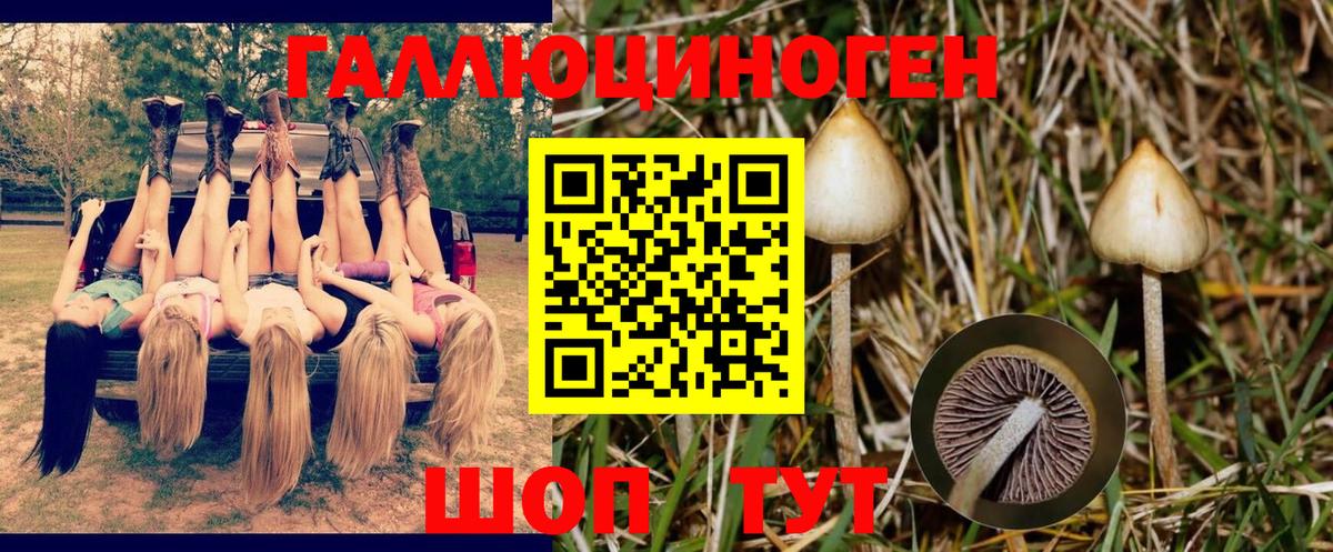 Псилоцибиновые грибы ЛСД Туапсе