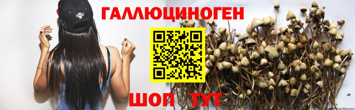Псилоцибиновые грибы мухоморы  Вход с VPN  Галлюциногенные грибы MAGIC MUSHROOMS  Туапсе 
